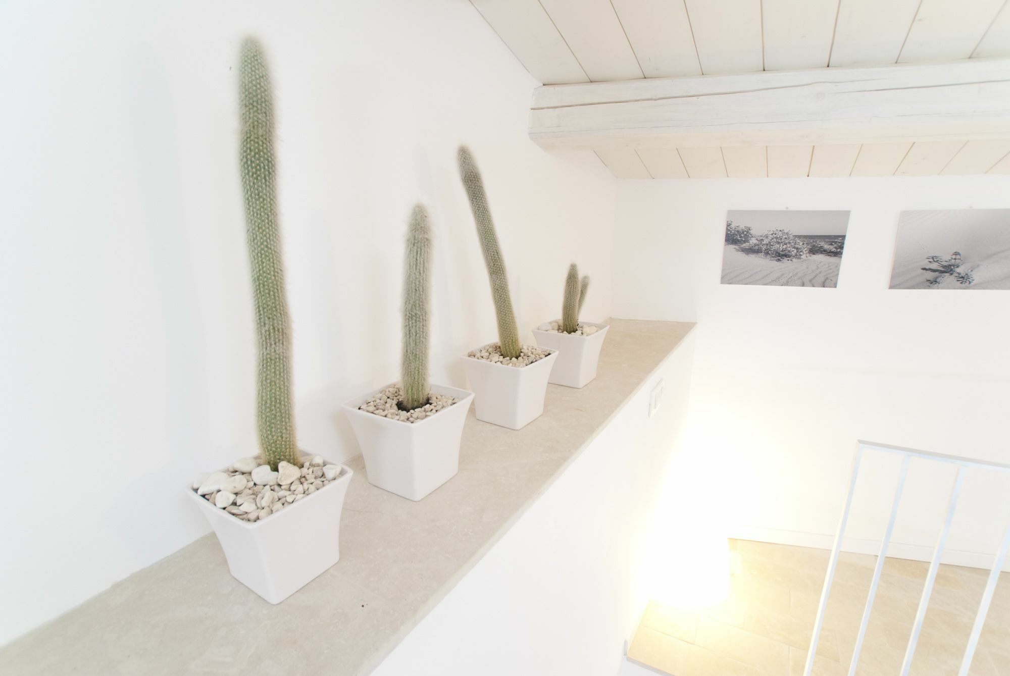 Le Stanze Del Sole Bed & Breakfast